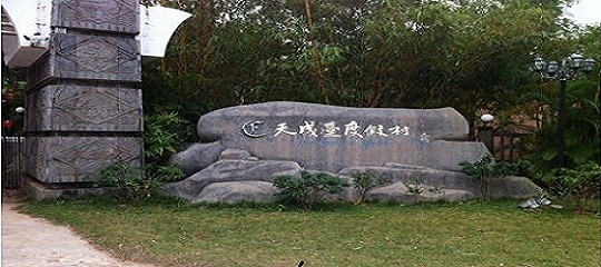 话家乡 旅游 >迷人的天成台度假村