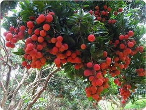֦֮硪ï